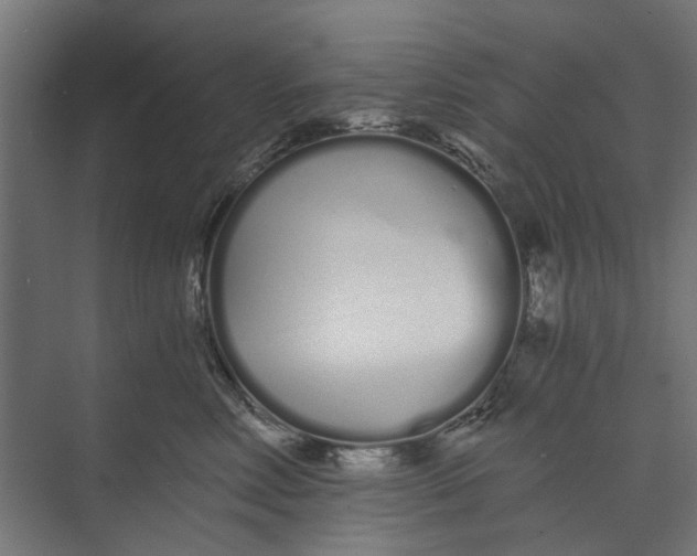 X0000073700618200608241419