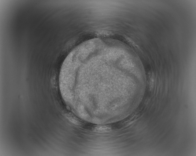 X0000073700619200608241419