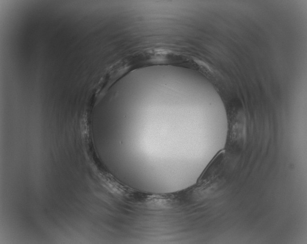 X0000073700620200608241419