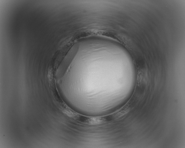 X0000073700623200608241419