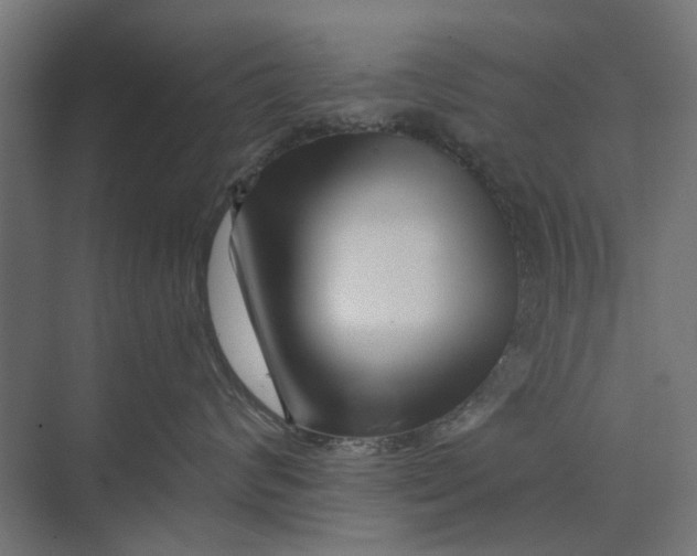 X0000073700624200608241419