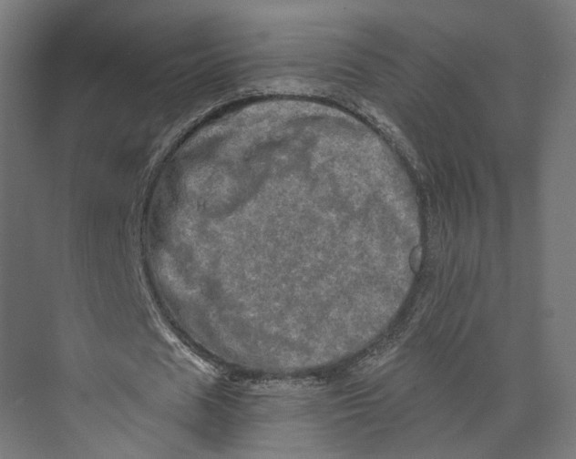 X0000073700625200608241418