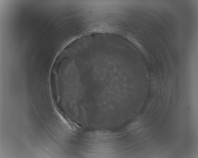 X0000073700626200608241418