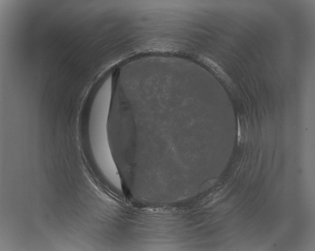 X0000073700627200608241418