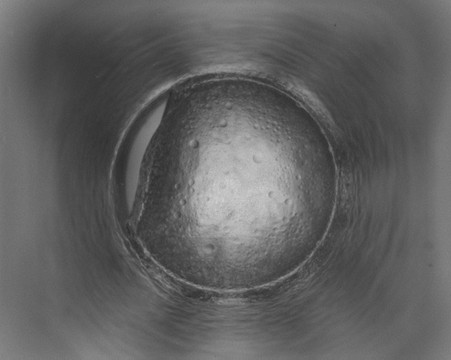 X0000073700628200608241418