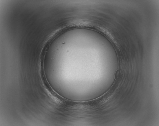 X0000073700629200608241418