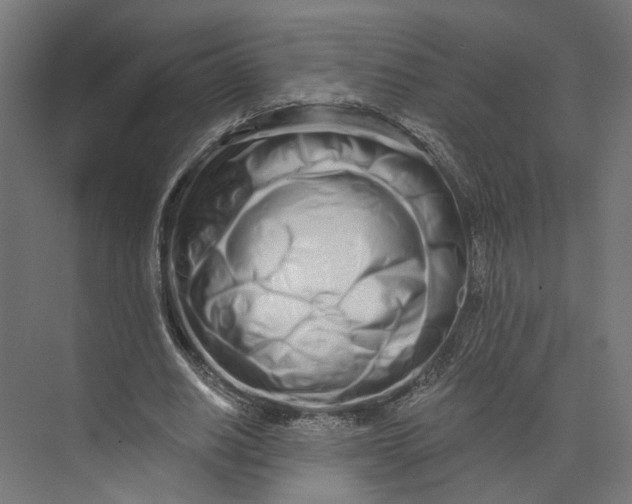 X0000073700630200608241418