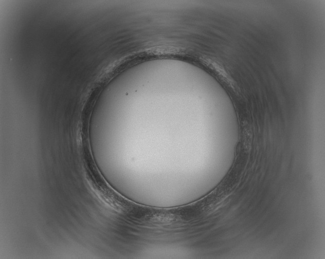 X0000073700631200608241418