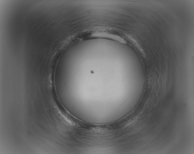 X0000073700633200608241418