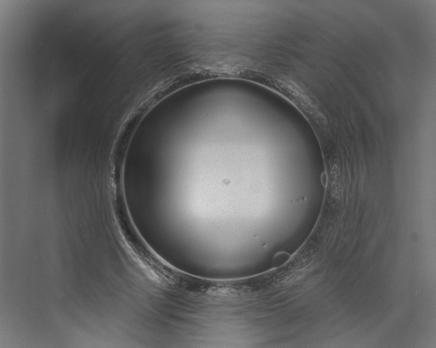 X0000073700634200608241418