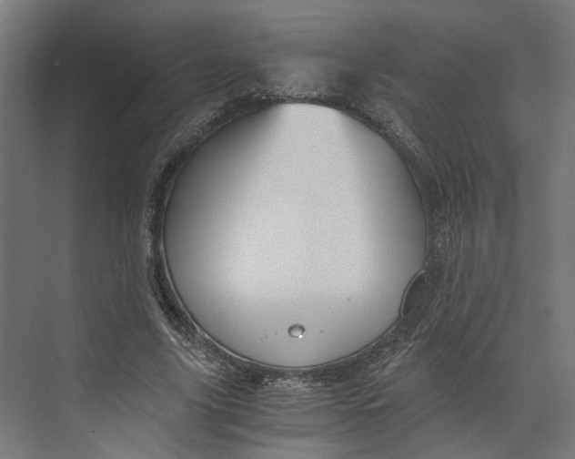 X0000073700635200608241418