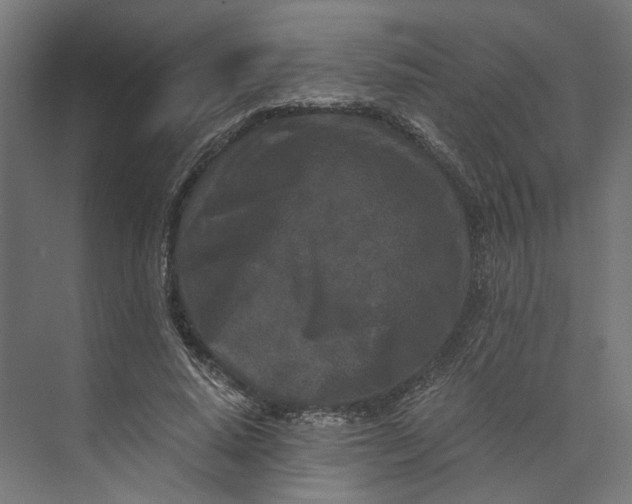 X0000073700640200608241418