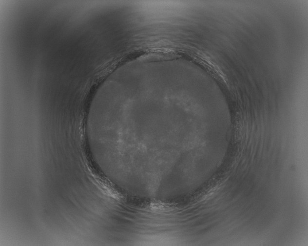 X0000073700641200608241418