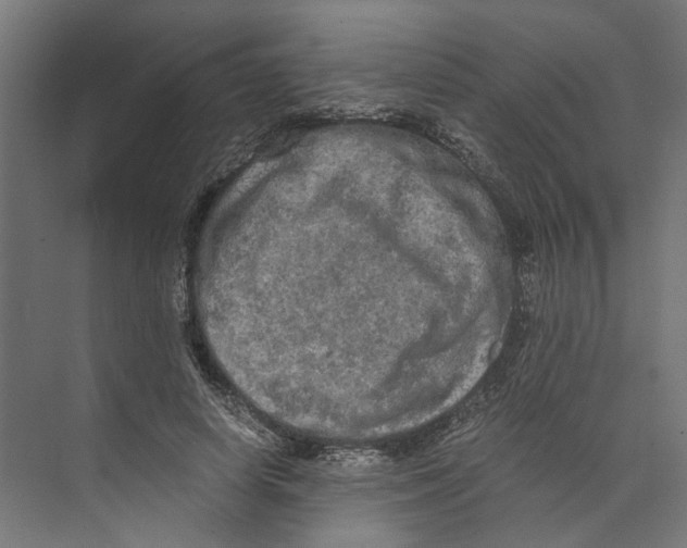 X0000073700642200608241418