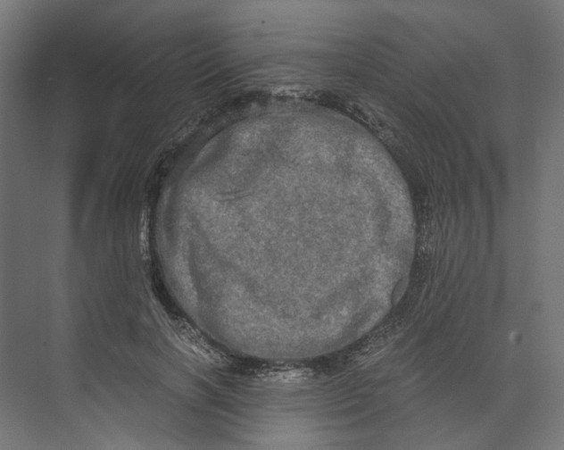 X0000073700646200608241418