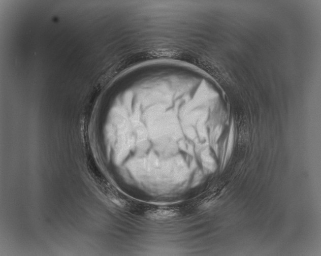 X0000073700647200608241418