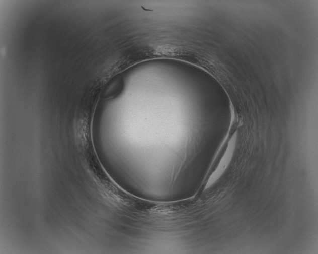 X0000073700648200608241418