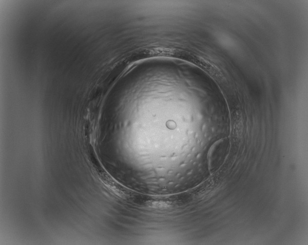 X0000073700649200608241418