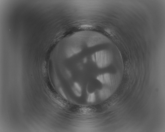 X0000073700650200608241418