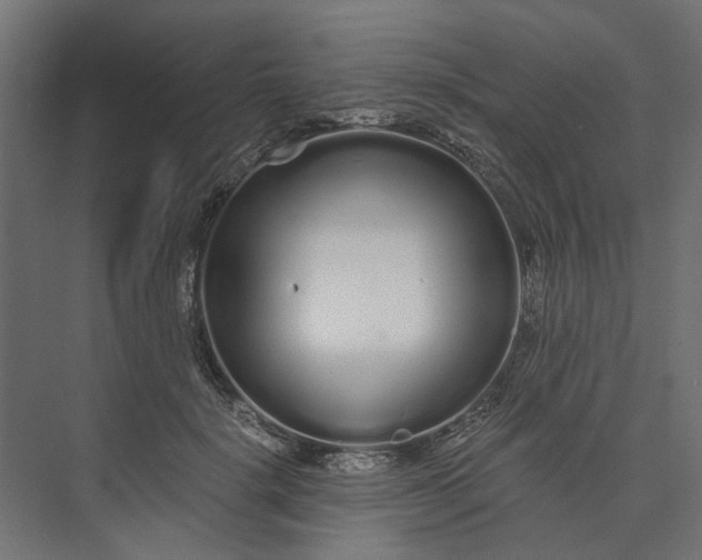 X0000073700652200608241418