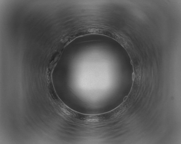 X0000073700653200608241418