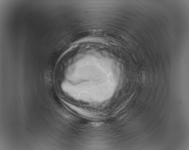 X0000073700654200608241418