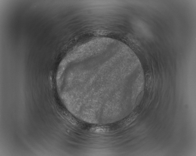 X0000073700655200608241418