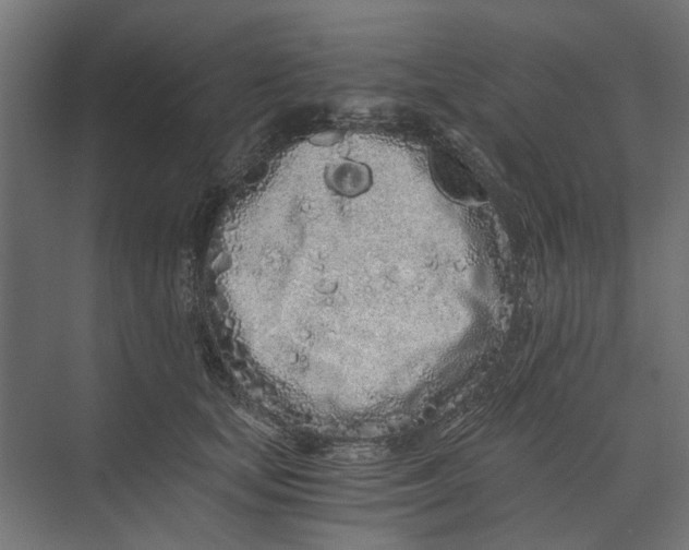 X0000073700659200608241418