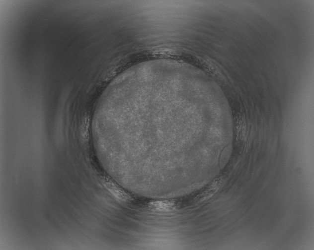 X0000073700660200608241418