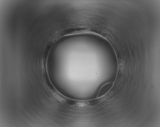 X0000073700662200608241418