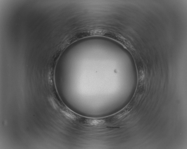 X0000073700663200608241418