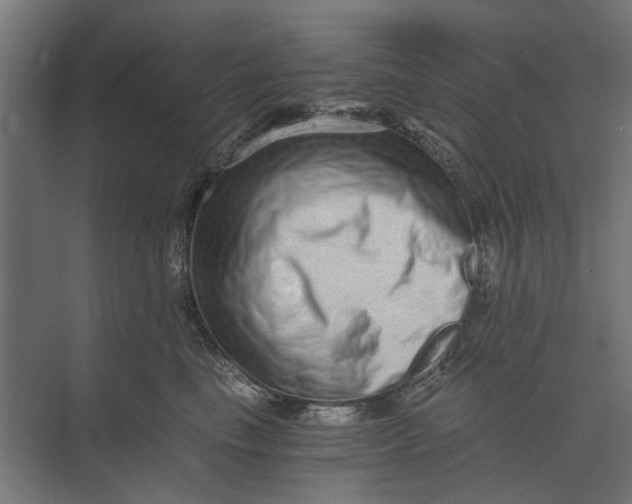 X0000073700665200608241418