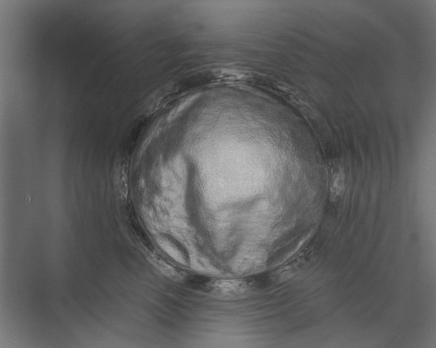 X0000073700666200608241418