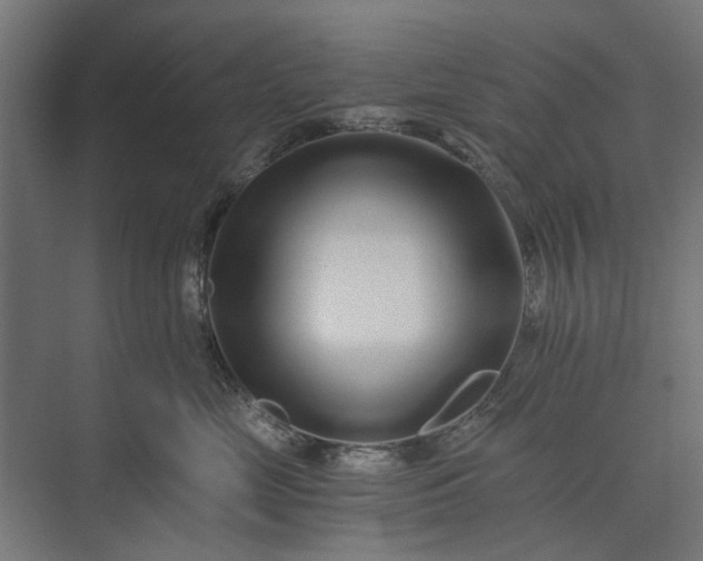 X0000073700669200608241418