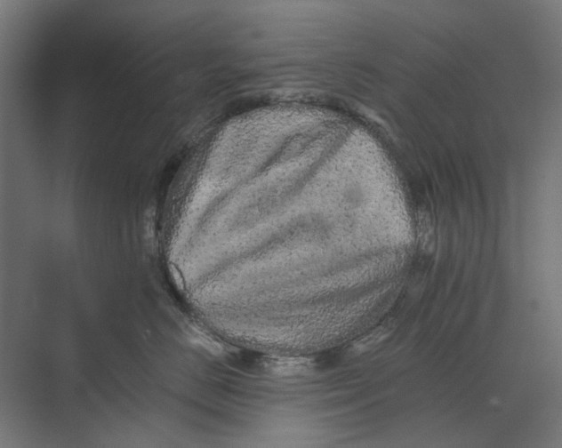 X0000073700670200608241419