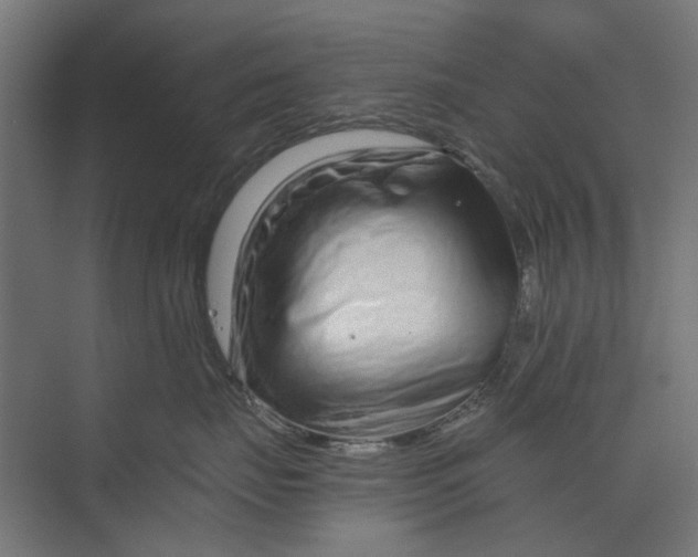 X0000073700671200608241419