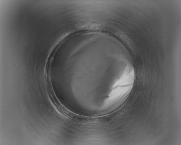 X0000073700674200608241418