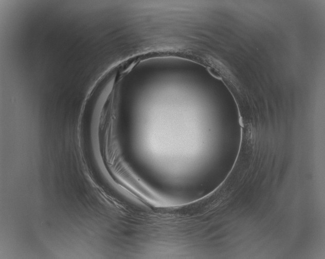 X0000073700676200608241418