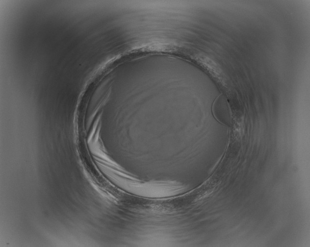 X0000073700678200608241418