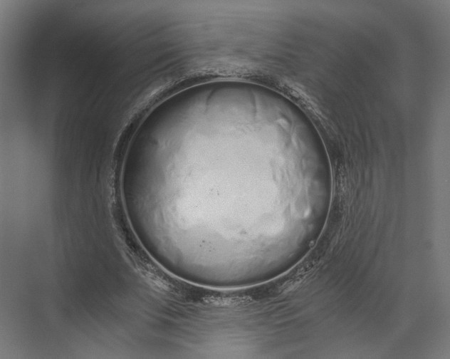 X0000073700679200608241418