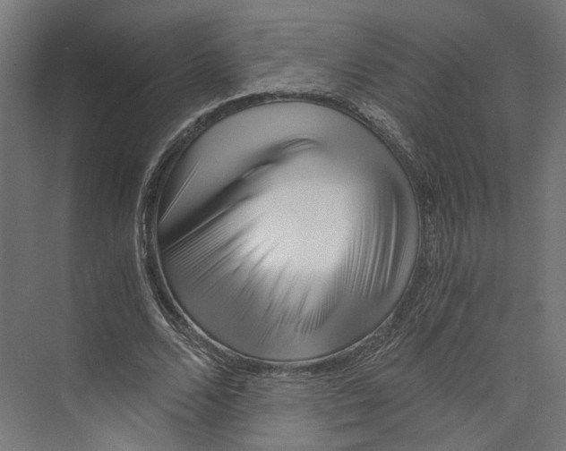 X0000073700680200608241418