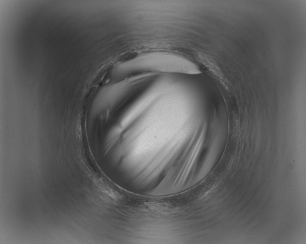 X0000073700681200608241418