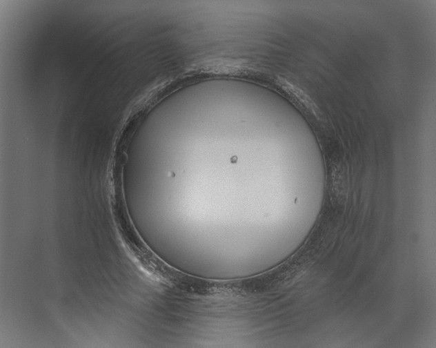 X0000073700682200608241418