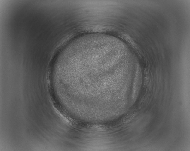 X0000073700683200608241418