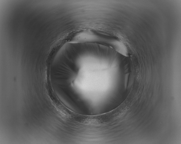 X0000073700685200608241418