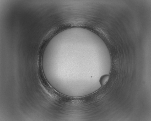 X0000073700686200608241417