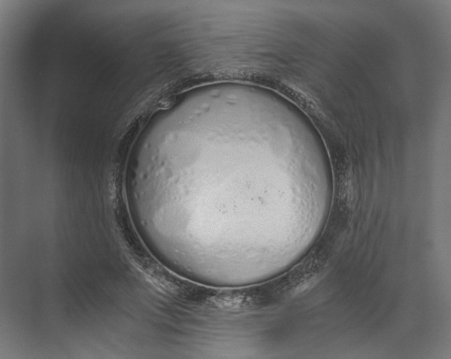 X0000073700687200608241417