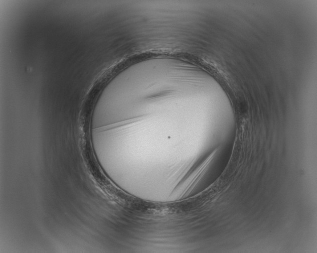 X0000073700688200608241417