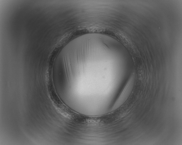 X0000073700690200608241417