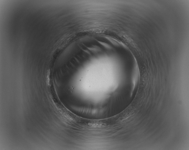 X0000073700693200608241417